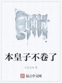 本皇子不卷了封面