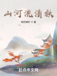 山河洗清秋封面