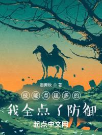 技能点超多的我全点了防御封面
