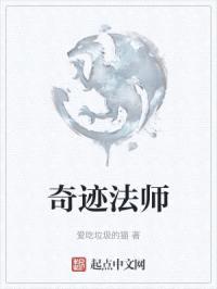 奇迹法师封面