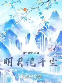 明月揽千尘封面
