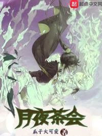月夜茶会封面