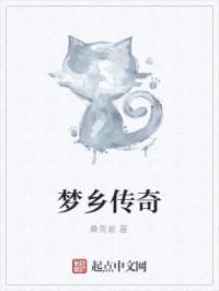 梦乡传奇封面