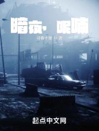 暗夜，呢喃封面