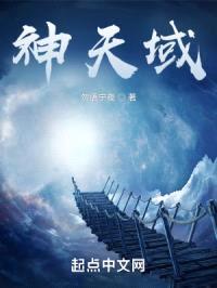 神天域封面