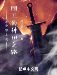从小领主到国王的种田之路封面