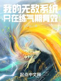 我有一个练气期保护系统封面