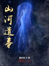 山河遗事封面