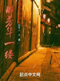 那芳华一缕封面