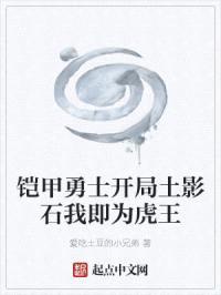 铠甲勇士开局土影石我即为虎王封面