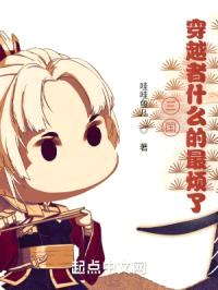 三国：穿越者什么的最烦了封面