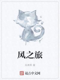风之旅封面