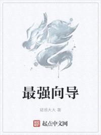 最强向导封面