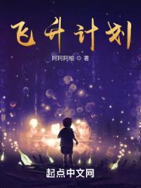 飞升计划封面
