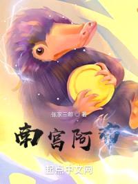 南宫阿布封面