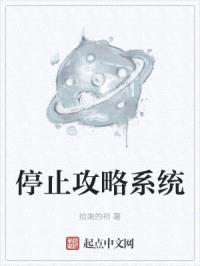 停止攻略系统封面