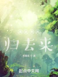 乘此朔风归去来封面