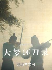 大梦环刀录！封面