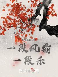 一段风霜一段杀封面