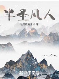 半圣凡人封面