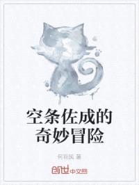 空条佐成的奇妙冒险封面