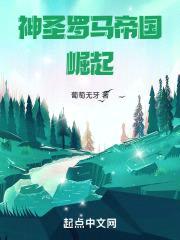 神圣罗马帝国崛起封面