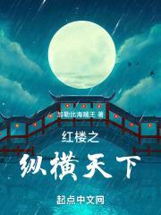 红楼之纵横天下封面