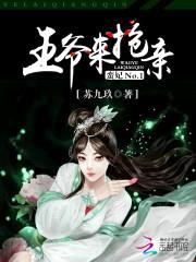 蛮妃No.1：王爷来抢亲封面