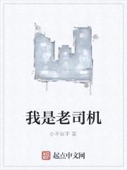 我是老司机封面